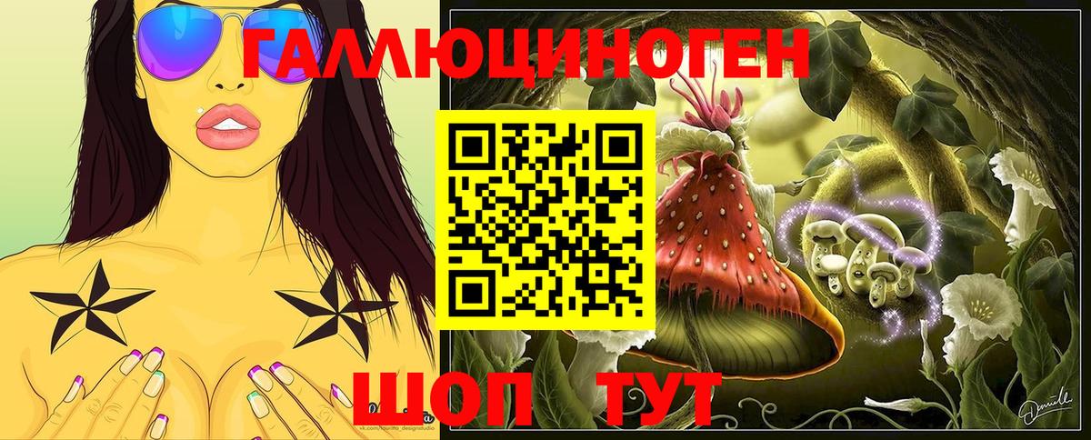 Псилоцибиновые грибы Psilocybine cubensis Александров