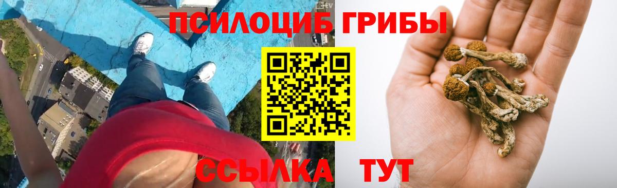 Галлюциногенные грибы Psilocybe  Вход с VPN  купить  цена  Александров 